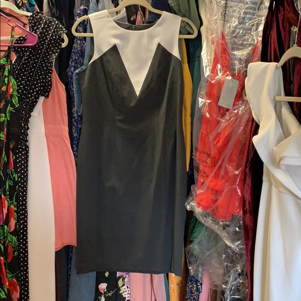 Ann Taylor shift dress NWT